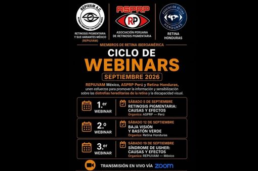 cartel ciclo de webinars