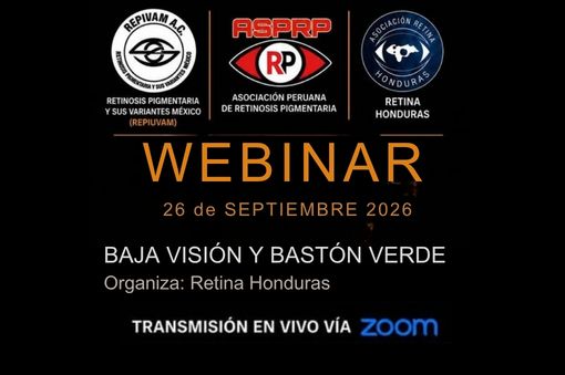 webinar baja visión y bastón verde